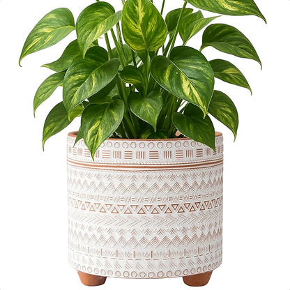 D'vine Dev 8 Inch Terracotta Planter Pot, Modern Design Ceramic Plants Pot with Drainage Hole, Saharan Script, 33-953-D-1