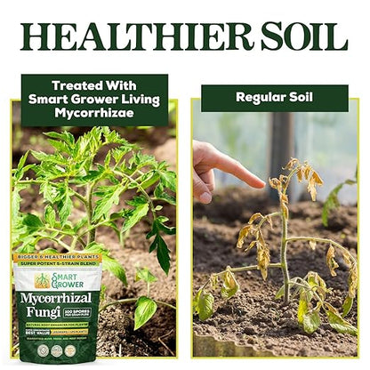 Mycorrhizal Fungi Organic Root Enhancer for Plants, Super Potent 100 Spores Per Gram, 5-Strain Blend, Rapid Results for Gardens, Houseplants, Lawns, Mycorrhizae Smart Grower 125 Grams for 125 Plants