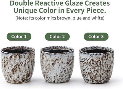 4+5.75 Inch Ceramic Planter Set of 2 with Drainage Hole and Saucer for Plants, Indoor-Outdoor Large Round Succulent Orchid Flower Pot -Reactive Glaze Speckled(Inner-pots not Larger Than 5 Inch)