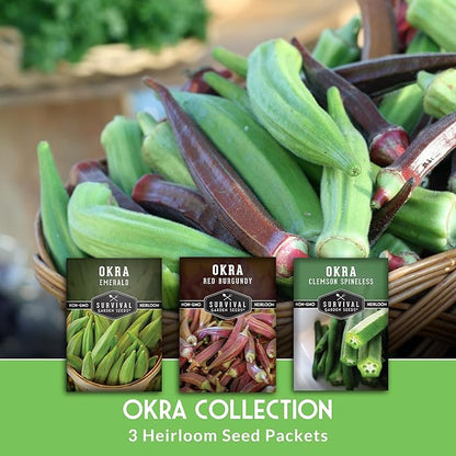 Survival Garden Seeds Okra Seed Collection for Planting – 3 Packets – Grow Clemson Spineless, Emerald & Red Burgundy Okra Plants in Your Home Vegetable Garden – Non-GMO Heirloom Variety Seeds