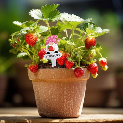 24Pcs Gnome Vegetable Plant Markers 24 Styles Funny Acrylic Garden Potted Plant Labels Sign Waterproof Plant Name Stake Tags for Nursery Indoor Outdoor Garden Decoration