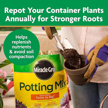 Miracle-Gro Potting Mix, For Container Plants, Flowers, Vegetables, Shrubs, Annuals, Perennials, Feeds up to 6 Months, 16 qt.