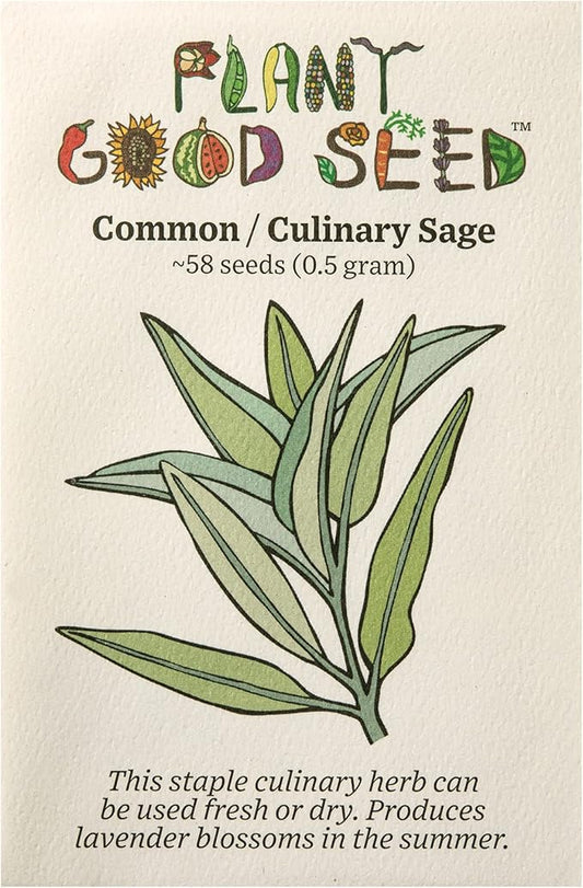 Plant Good Seed Organic Common/Culinary Sage Seeds for Planting: Culinary Herb, Green Leaves and PurpleFlowers - 58 Seed Packet