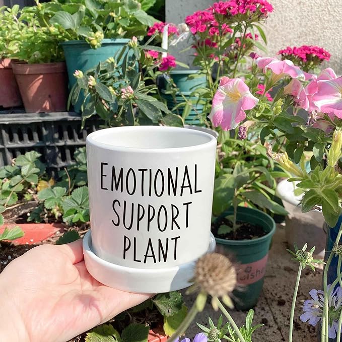 4.3 inch Ceramic Emotional Support Plant Pot, Funny Succulent Pots, Cute Cactus Planters with Drainage Hole, Funny Plant Pot Emotional Support Cactus