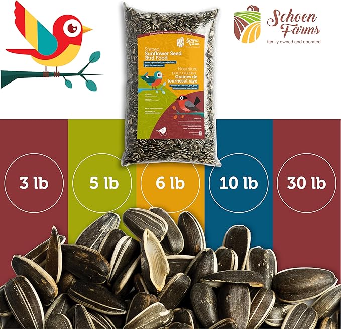 Schoen Farms Striped Sunflower Seeds – Shelled & Hulled Bird Food – 10 lb Bag – Premium Wild Bird Seed for Cardinals, Jays & Finches