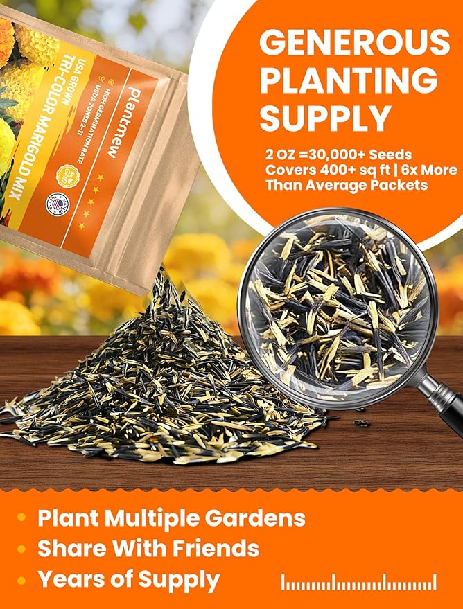 Tri-Color Marigold Seeds Bulk - 60,000+ Heirloom Flower Seeds for Planting Outdoors, Dwarf French Marigolds, Non-GMO Pollinator Magnet with High Germination, Quick Blooming