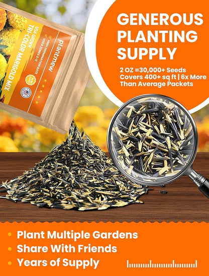 Tri-Color Marigold Seeds Bulk - 60,000+ Heirloom Flower Seeds for Planting Outdoors, Dwarf French Marigolds, Non-GMO Pollinator Magnet with High Germination, Quick Blooming