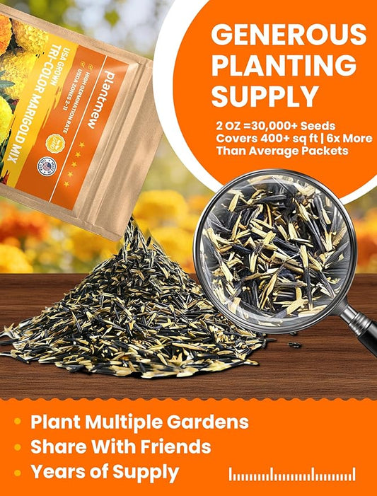 Tri-Color Marigold Seeds Bulk - 60,000+ Heirloom Flower Seeds for Planting Outdoors, Dwarf French Marigolds, Non-GMO Pollinator Magnet with High Germination, Quick Blooming
