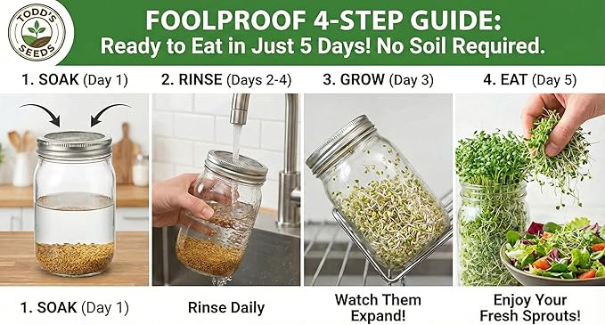 Todd’s Seeds - Alfalfa Seeds - 16 Oz Bulk Alfalfa Sprouting Seeds - Resealable Bag - Highest Germination - Non-GMO, Chemical Free (Better than Organic!) - Perfect for Home Gardening and Healthy Eating