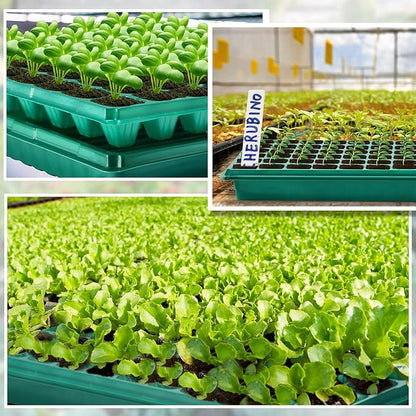 10 Pcs Seed Starter Kit 72 Cell Seedling Starting Trays and 1020 Trays No Holes Plant Growing Nursery Pots for Gardening Germination Propagation (Green)