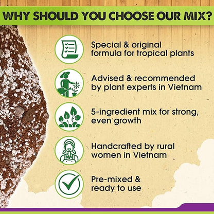 DUSPRO Recycle Tropical Potting Mix Pre-Mixed 5in1 with Pine Bark, Coco Coir, Perlite, Worm Casting & Pumice Ideal Aroid Mix Soil for Monstera, Pothos, Philodendron, Other Indoor HousePlants 4QRT