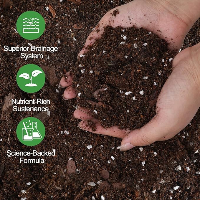 All-Natural Money Tree Soil & Indoor Potting Mix 10QT - Drainage-Enhanced Plant Soil for Healthy Indoor Plants