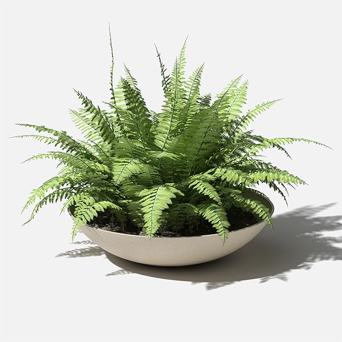 Veradek Mason Series Lane Bowl Planter| for Indoor or Outdoor Tabletops/Gardens |Made from Plastic-Stone Composite with Drainage Holes|Modern Décor for Flowers, Succulents, Small Plants