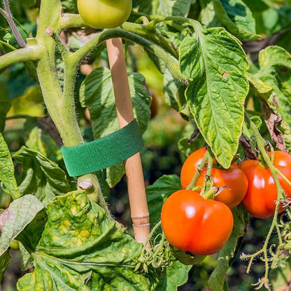 Plant Tape, 82ft Green Garden Tape, 0.35 in Twist Tie for Plants, Plant Supports, Garden Ties for Climbing Plants, Reusable Plant Twist Tie for Plant Gardening, Home, Office