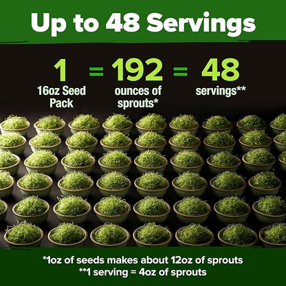 HOME GROWN Premium Sprouting Seeds Mix - Microgreens 118,200 Seeds for Indoor Growing - Non-GMO Broccoli, Alfalfa, Radish, Clover Sprouts Seed - 16oz Resealable Pack for Healthy Salad & Juicing