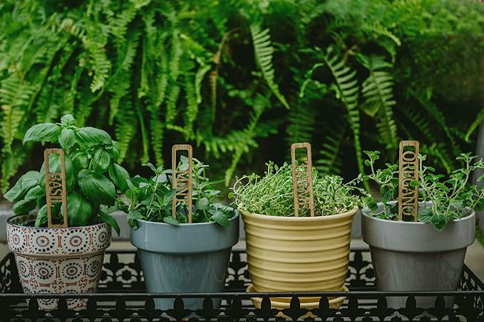 Bamboo Plant Labels | Laser Cut 6" x 1" Weatherproof Plant Markers, Outdoor Plant Markers, Herb Garden Signs