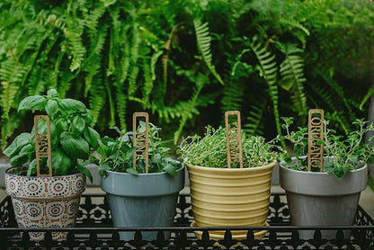 Bamboo Plant Labels | Laser Cut 6" x 1" Weatherproof Plant Markers, Outdoor Plant Markers, Herb Garden Signs