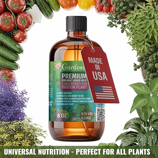 GARDENERA Premium Organic Seaweed & Kelp Superfood for ZAMIOCULCAS Plants - 32 oz - Liquid Kelp Fertilizer Concentrate (Makes 180 Gallons)