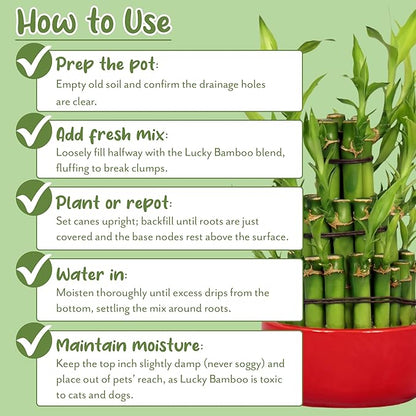 Soil Sunrise Lucky Bamboo Plant Potting Mix (4 Quarts) Custom Soil Mix for Repotting