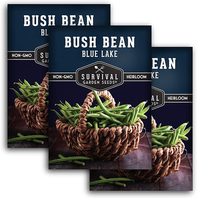 Blue Lake 274 Bush Bean Seeds for Planting - Heirloom Non-GMO Green Beans - High Germination, Stringless 5–6" Pods, Compact Bush Plants, Great Flavor - Survival Garden Seeds (3 Packs)