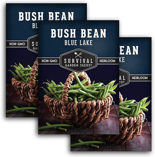 Blue Lake 274 Bush Bean Seeds for Planting - Heirloom Non-GMO Green Beans - High Germination, Stringless 5–6" Pods, Compact Bush Plants, Great Flavor - Survival Garden Seeds (3 Packs)