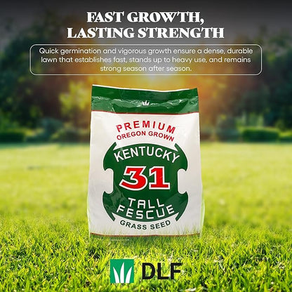 X-Seed Oregon Grown Kentucky 31 Tall Fescue Grass Seed for Sun and Shade Drought-Resistant Lawn for High Traffic, Forage & Turf Grass – Designed for Extreme Durability & Retaining Moisture – 5 lb Bag