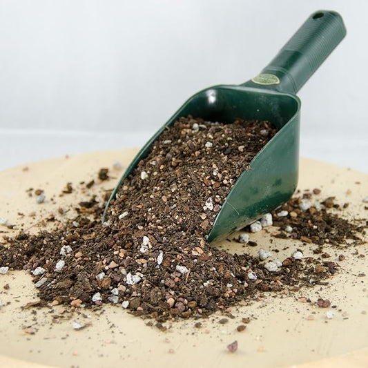 2 Gal. Special Blend Organic Bonsai Tree Soil with Coarse Sand, Mycorrhizae, Pumice & Red Lava - Small Grain (2GAL SPEC Bonsai S)