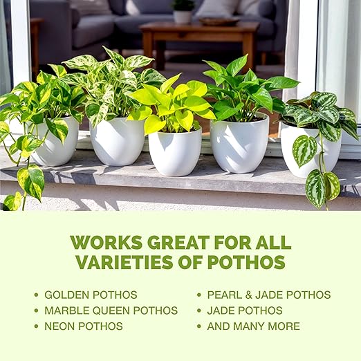 TPS NUTRIENTS Pothos Fertilizer for All Pothos Plants and Vines, Liquid Plant Food 8 oz (250mL)