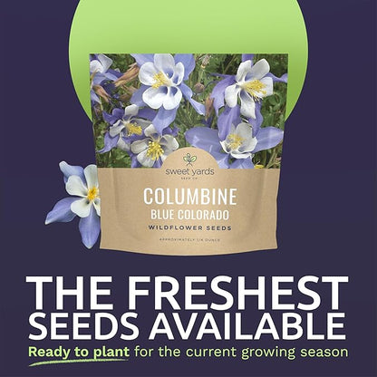 Columbine Blue – Large 1/4 Ounce Seed Packet – 6,000 Flower Seeds for Planting – Aquilegia caerulea