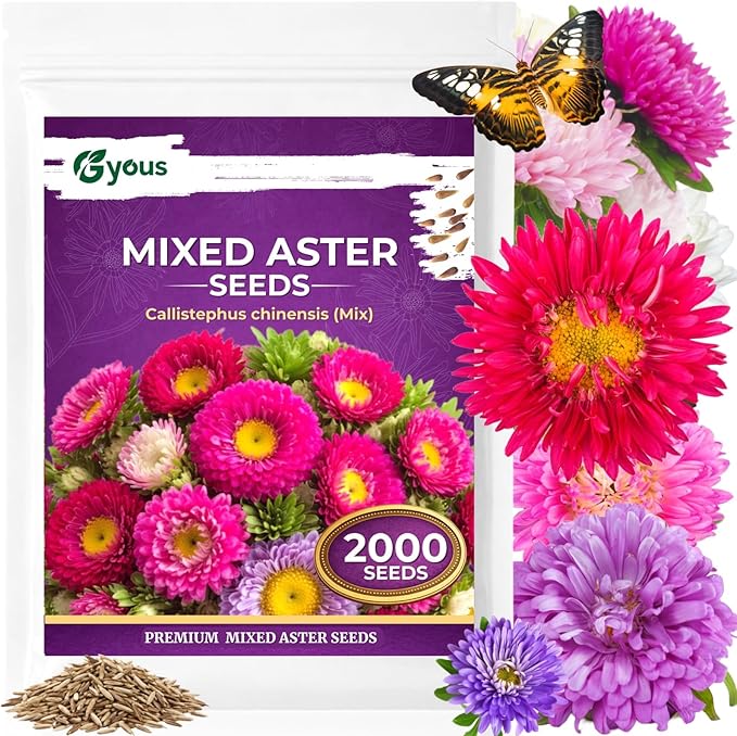 Aster Seeds Mix (5 Colors) – 2,000+ Flower Seeds for Planting, Easy-Grow Annual Blooms for Garden Beds & Pots, Cut Flower & Pollinator Garden
