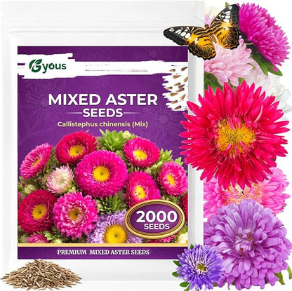 Aster Seeds Mix (5 Colors) – 2,000+ Flower Seeds for Planting, Easy-Grow Annual Blooms for Garden Beds & Pots, Cut Flower & Pollinator Garden