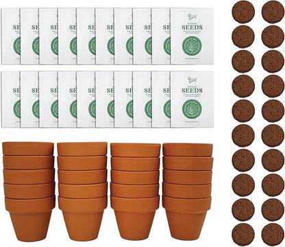 BUZZY Seeds Forget Me Not Flower Grow Kit Bulk 20pk Mini Terracotta Pots Gardening Starter Set, Wedding Favors, Shower Prizes, Garden Parties
