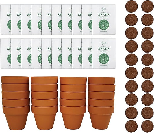 BUZZY Seeds Forget Me Not Flower Grow Kit Bulk 20pk Mini Terracotta Pots Gardening Starter Set, Wedding Favors, Shower Prizes, Garden Parties