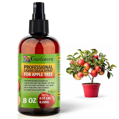 𝐒𝐔𝐏𝐄𝐑𝐈𝐎𝐑 Liquid Silica Boost Fertilizer and Supplement Spray for Apple Tree Plants – Pre-Mixed, Ready-to-Use Liquid Silicon Plant Superfood Mist for Indoor & Outdoor Plants – 8oz