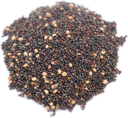 Superfood Microgreen Seeds Mix | for Microgreens Growing Trays | 1 LB | Heirloom Non GMO Purple Kohlrabi, Collard, Radish, Turnip & Broccoli Sprouts Seeds | Rainbow Heirloom Seed Co.