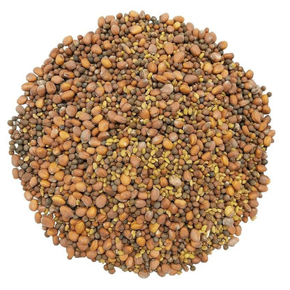Food to Live Organic Spicy Mix of Sprouting Seeds, 12 Ounces — Non-GMO Broccoli, Radish, Alfalfa, Raw, Rich Germination Rate, Non-Irradiated, Pure, Kosher, Vegan Superfood, Bulk, Rich in Sulforaphane