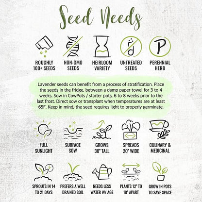 Seed Needs Lavender Seed Packet Favors - Thoughtful Gifts/Handouts for a Memorial or Funeral Service to Remember Loved Ones - Sowing Seeds in Remembrance (30 Packets)