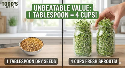 Todd’s Seeds - Alfalfa Sprouting Seeds - Easy to Grow - Fast Growing Seeds with High Sprout Germination (One Pound)