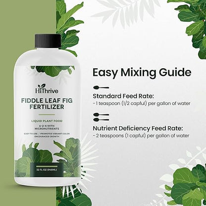 32oz Fiddle Leaf Fig Plant Food - Makes 192 Gallons of Fertilizer, Liquid Houseplant Fertilizer for Ficus Plants, Ideal Fiddle Leaf Fertilizer, 6-2-4 NPK Ficus Plant Food for Strong, Healthy Growth