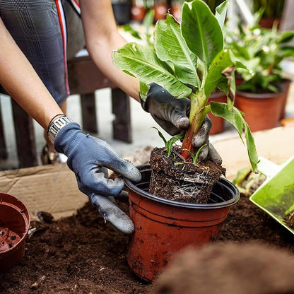 Premium Banana Tree Potting Mix for Optimal Seedling Growth 10qt, Suitable for All Indoor and Outdoor Banana Tree Varieties