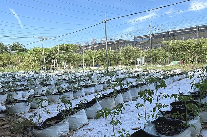 HORTIPOTS 0.5 Gal Black and White Plastic Grow Bags 1/2 Gallon (Pack of 100)