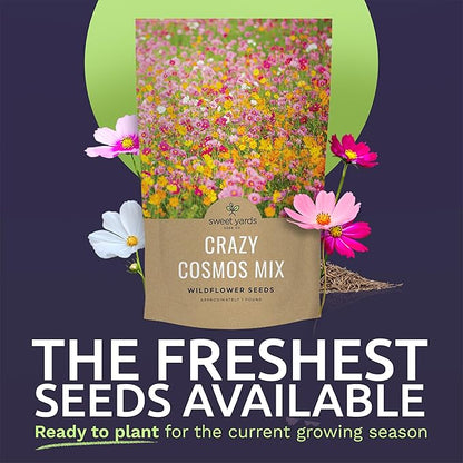 Bulk Cosmos Seeds Wildflower Mixture - 1 Pound Bag - Over 80,000 Seeds - Pink, Yellow, Orange, Red, Purple and White Mixed Species!