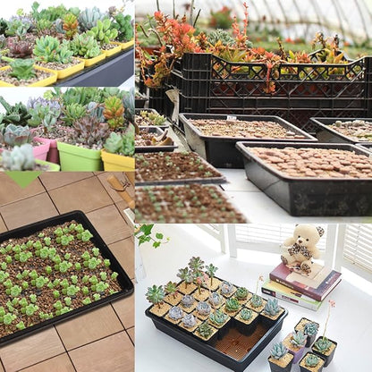 eZAKKA Seedling Starter Trays, 15x12 inches Seed Plant Grow Starting Germination Kit Greenhouse Humidity Domed Propagator Trays with 20 Pieces Square Seed Starter Pots for Seedling, Flower, Garden