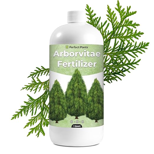 Liquid Arborvitae Fertilizer by Perfect Plants (1qt)