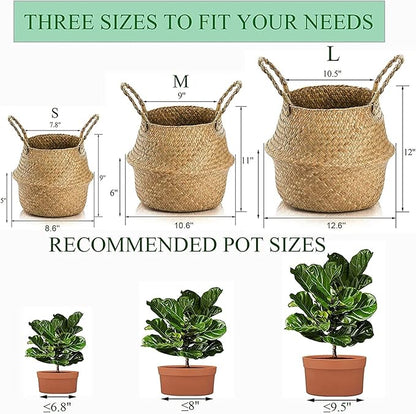 Yesland 2 Pack Woven Seagrass Plant Basket with Handles, Ideal Wicker Baskets Storage Plant Pot Baskets for Laundry, Picnic, Plant Pot Cover, Beach Bag and Grocery Basket (L)