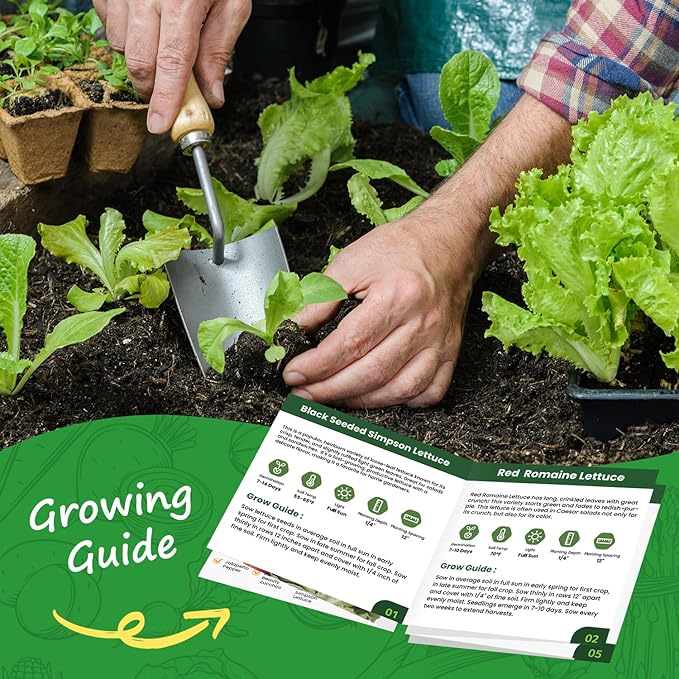 Heirloom Lettuce Seeds - 10 Varieties, Non-GMO Seeds for Planting - Includes Spinach, Kale, Arugula, Romaine, Iceberg, Buttercrunch & More, Home Garden & Hydroponic Seeds