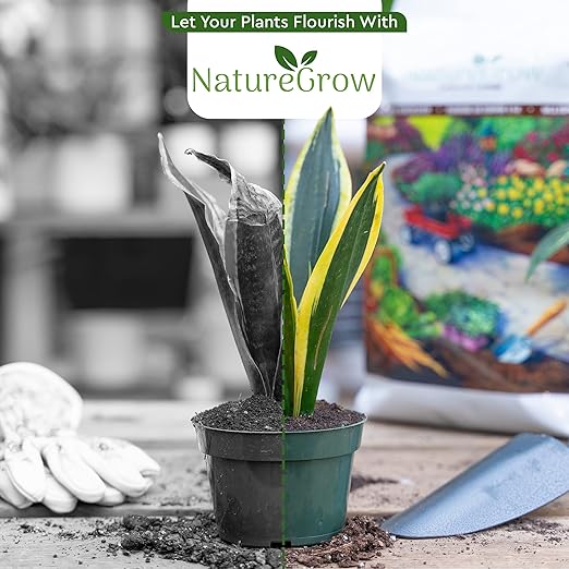 Earth Worm Castings 10lb - Organic Fertilizer Includes Humic Acid - Pure Worm Castings for Gardening