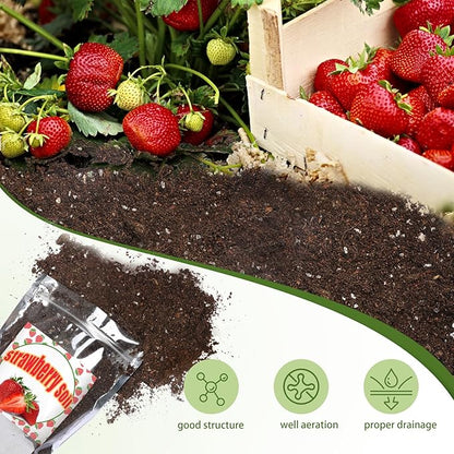Organic Strawberry Soil Mix 2qt, Indoor Plants Potting Mix for All Potted Strawberry, Grow Healthy houseplants Indoors