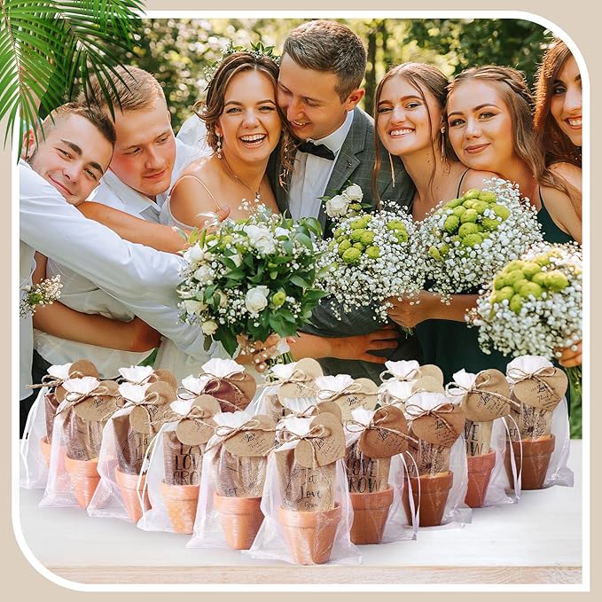 24 Sets Wedding Favor Flower Seeds Let Love Grow Seed Packets for Guests Family Reunion Wildflower Mini Terracotta Pots Seed Packets Self Adhesive Envelopes Thank You Tags Organza Bags