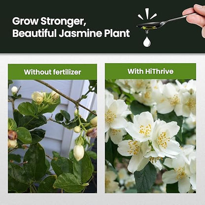 16oz Jasmine Fertilizer for Jasmine Plant Live - Makes 96 Gallons of Indoor Plant Food for Houseplants, Nutrient-Rich Houseplant Fertilizer - Ideal Outdoor & Houseplant Food for Vibrant Growth